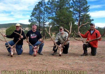 Blue Mountain Outfitters Guided Elk Hunt New Mexico