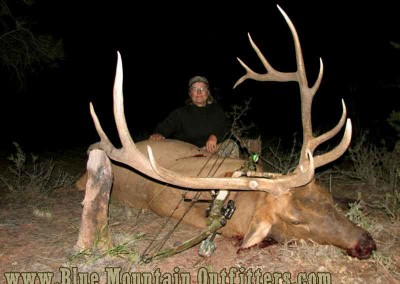 Blue Mountain Outfitters Guided Elk Hunt New Mexico