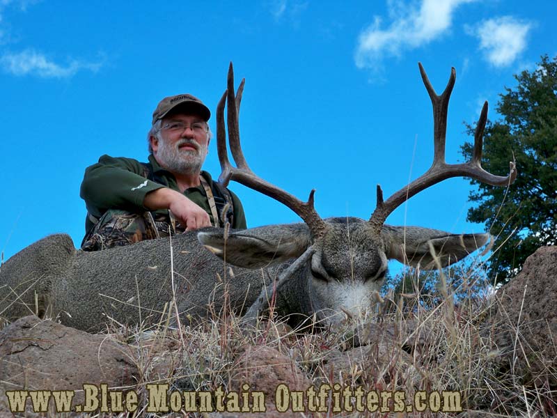 New Mexico Guided Mule Deer Hunt