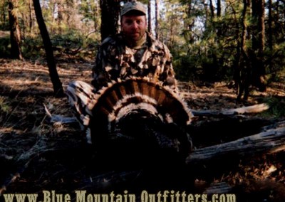 Blue Mountain Outfitters Guided Merriams Turkey Hunt New Mexico