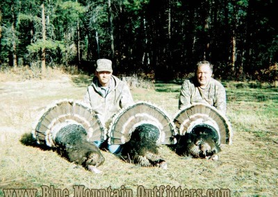 Another successful Blue Mountain Outfitters Merriams Turkey hunter