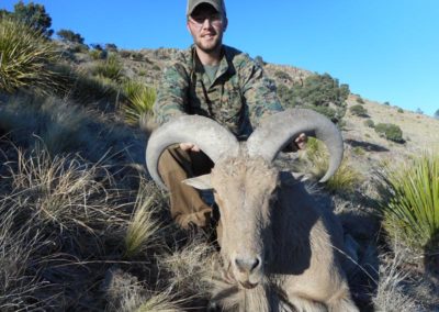 Blue Mountain Outfitters Guided Aoudad Hunt New Mexico