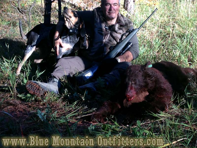 New Mexico Guided Bear Hunt