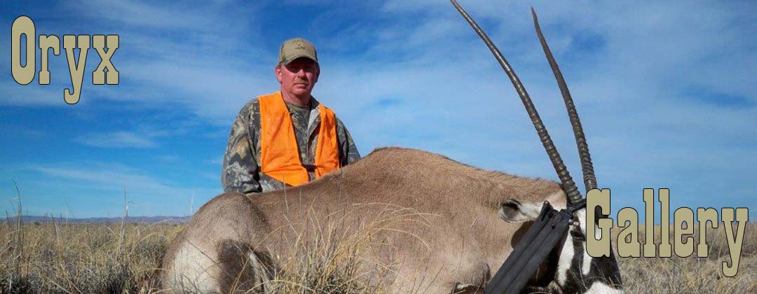 Blue Mountain Outfitters Guided Oryx Hunt New Mexico