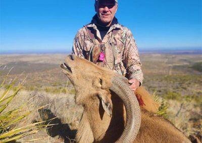 Blue Mountain Outfitters 2023 Aoudad