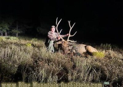 Blue Mountain Outfitters 2024 Elk Hunt