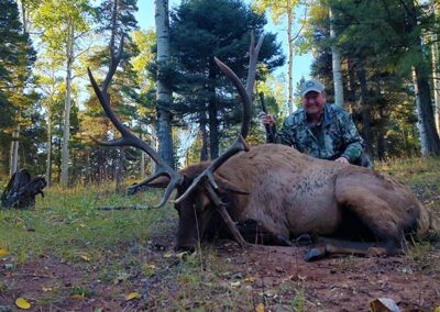 Blue Mountain Outfitters 2024 Elk Hunt