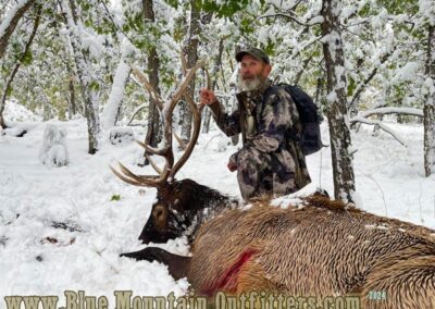 Blue Mountain Outfitters 2024 Elk Hunt